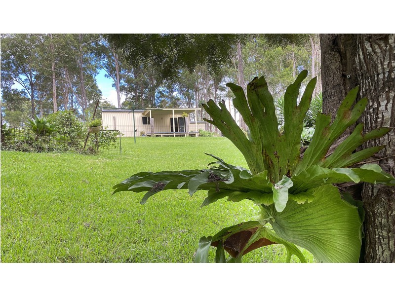 44 Old Pipers Creek Road, Dondingalong NSW 2440