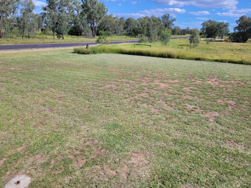 22 Coxen Street, Condamine QLD 4416