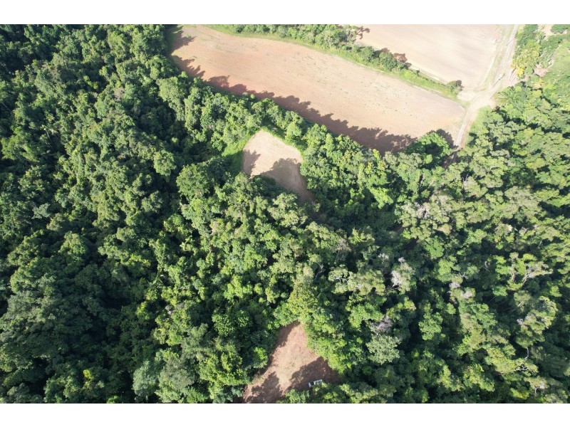 1/376 Finlayvale Road, Mossman QLD 4873