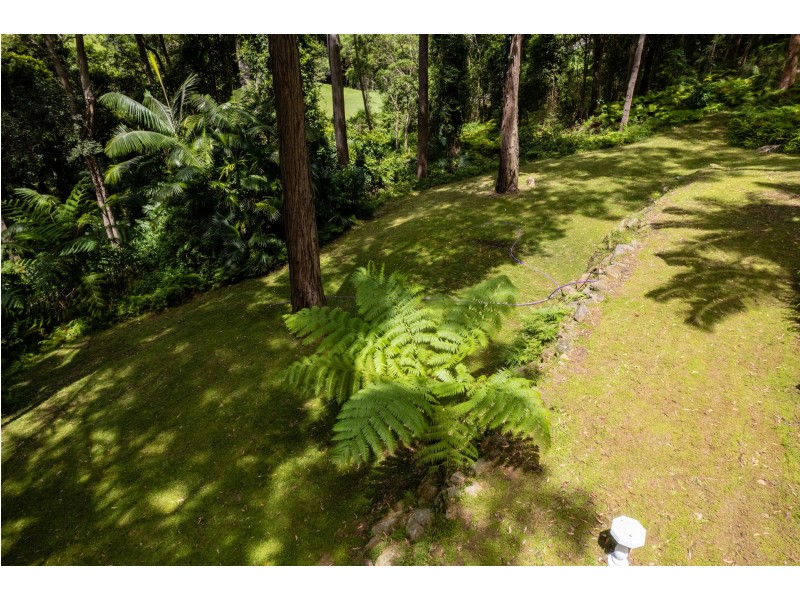 46 Marana Road, Springfield NSW 2250