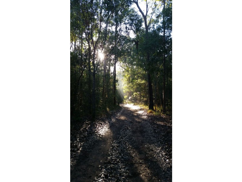 212 Gallaghers Lane, Ashby Heights NSW 2463