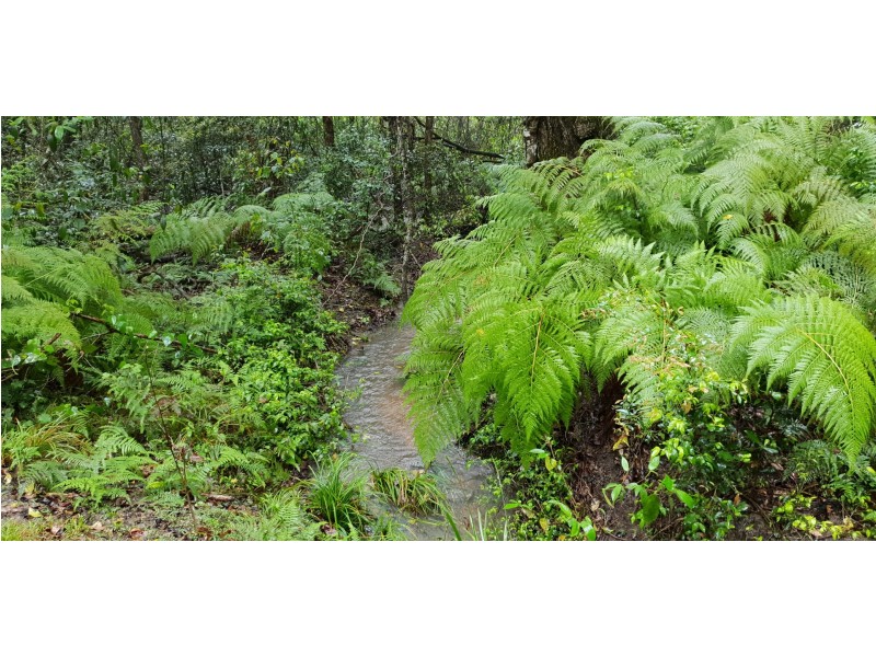 212 Gallaghers Lane, Ashby Heights NSW 2463