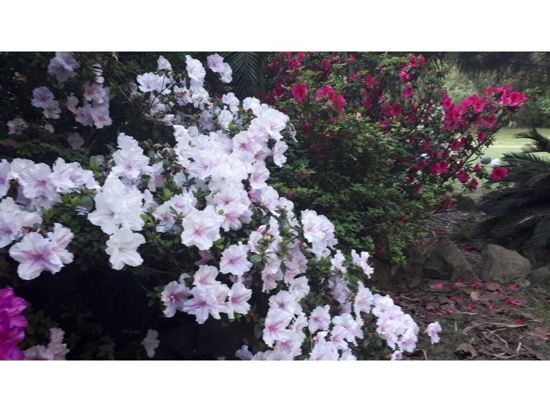 212 Gallaghers Lane, Ashby Heights NSW 2463