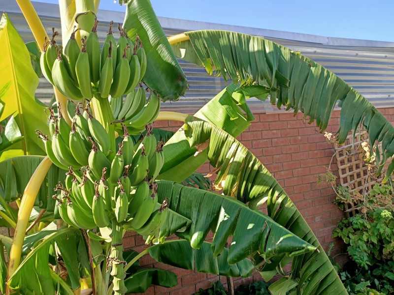 182 Spearwood Avenue, Spearwood WA 6163