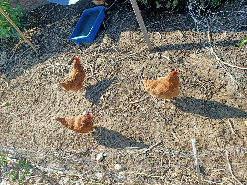 182 Spearwood Avenue, Spearwood WA 6163