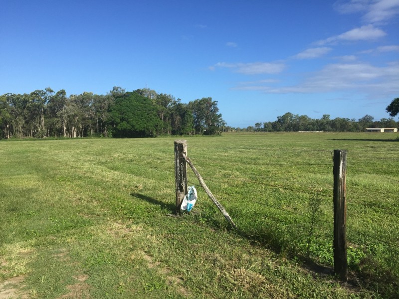 385 Dahls Road, Calavos QLD 4670