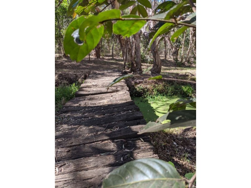 385 Dahls Road, Calavos QLD 4670