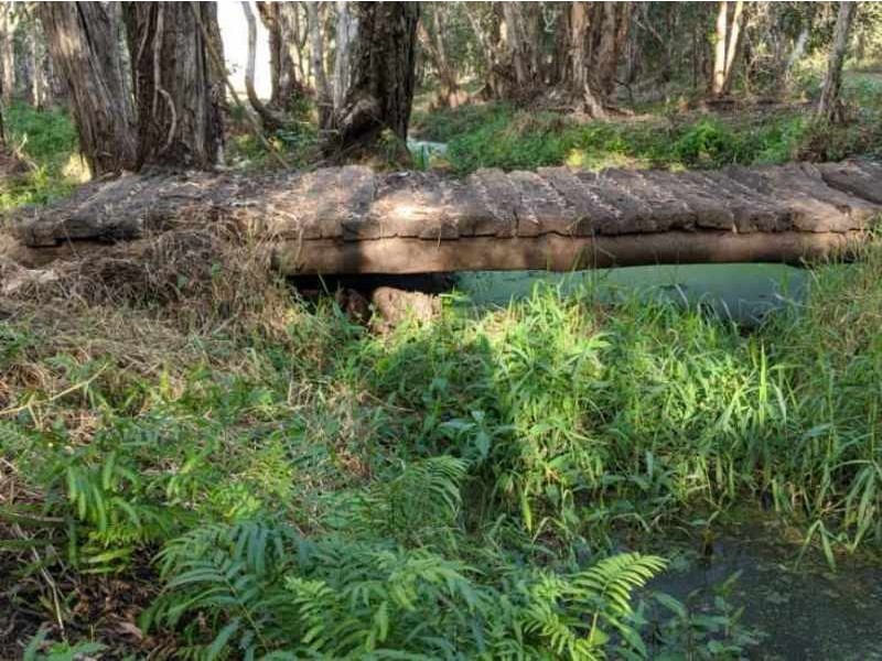 385 Dahls Road, Calavos QLD 4670