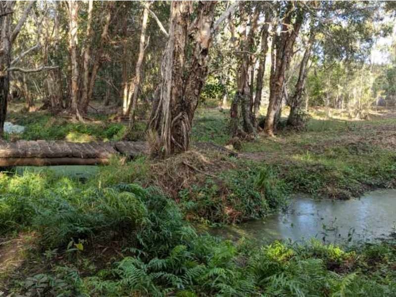 385 Dahls Road, Calavos QLD 4670