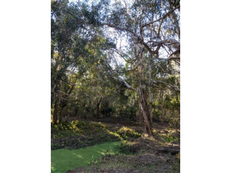 385 Dahls Road, Calavos QLD 4670