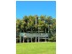 29 Vanilla Close, Wauchope NSW 2446