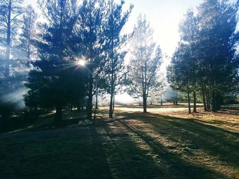 480 Tall Timbers Road, Tomboye NSW 2622