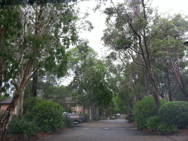 192-200 VIMIERA ROAD, Marsfield NSW 2122