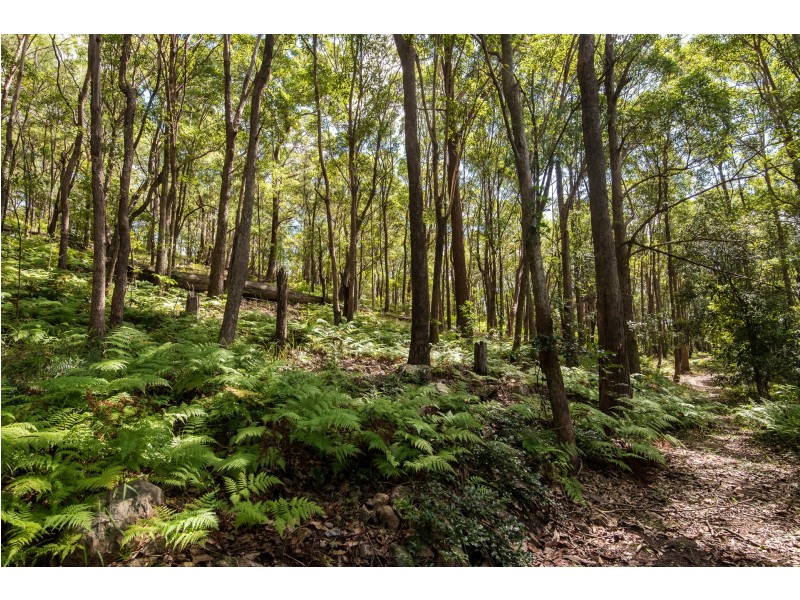 10 Akania Place, Valdora QLD 4561