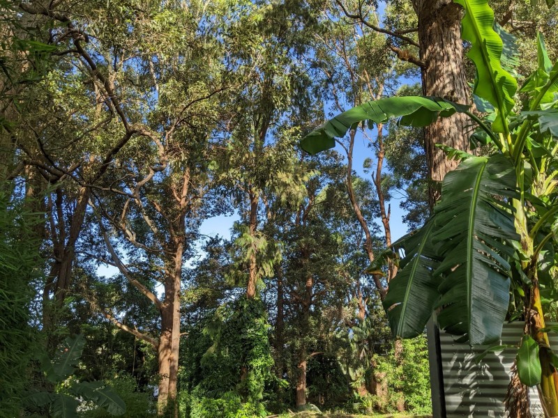 93 Stephen Drive, Woonona NSW 2517