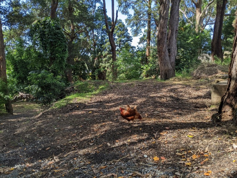 93 Stephen Drive, Woonona NSW 2517