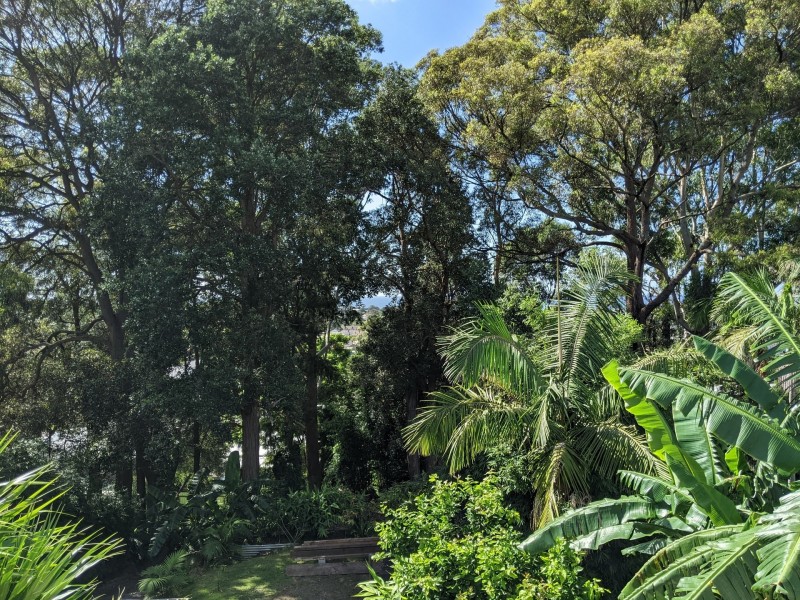 93 Stephen Drive, Woonona NSW 2517