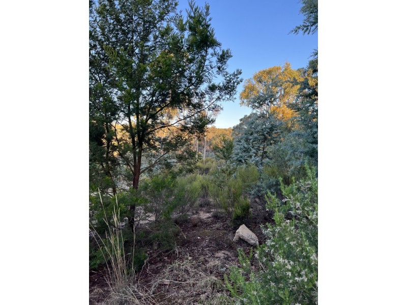 30 Wilkie, Castlemaine VIC 3450