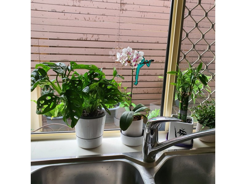 Unit 5/5-9 Tweed Coast Road, Bogangar NSW 2488