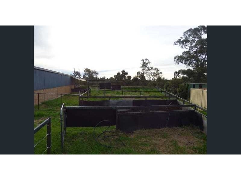 6 racecourse road, Cessnock NSW 2325