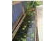 1 Patton Street, South Mackay QLD 4740