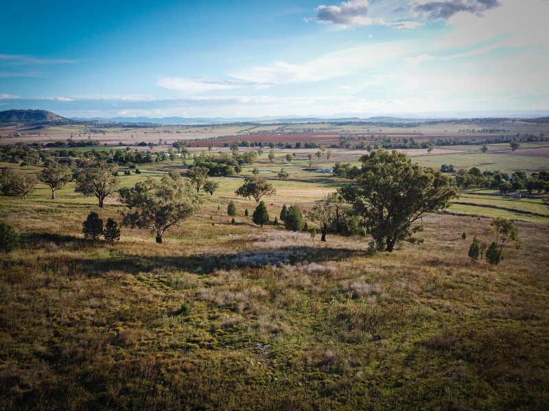 1672 Kamilaroi highway, Quirindi NSW 2343
