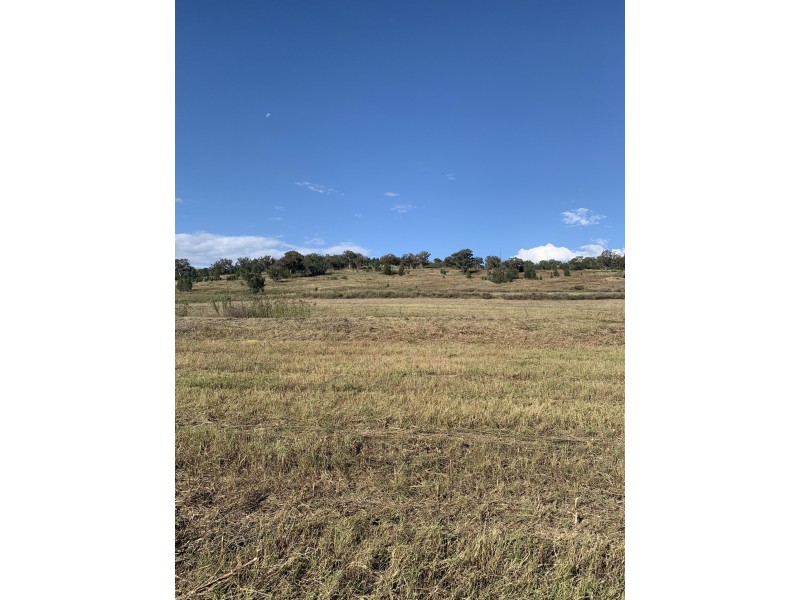 1672 Kamilaroi highway, Quirindi NSW 2343