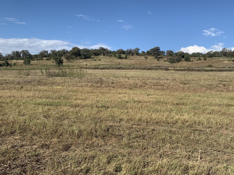 1672 Kamilaroi highway, Quirindi NSW 2343