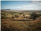 1672 Kamilaroi highway, Quirindi NSW 2343