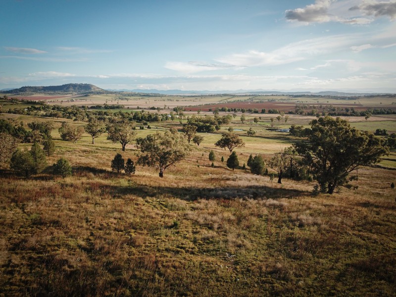 1672 Kamilaroi highway, Quirindi NSW 2343