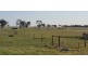 Burrows Road, Woodstock On Loddon VIC 3551