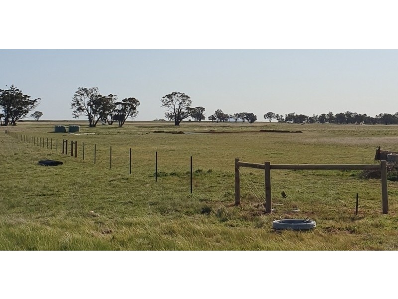 Burrows Road, Woodstock On Loddon VIC 3551