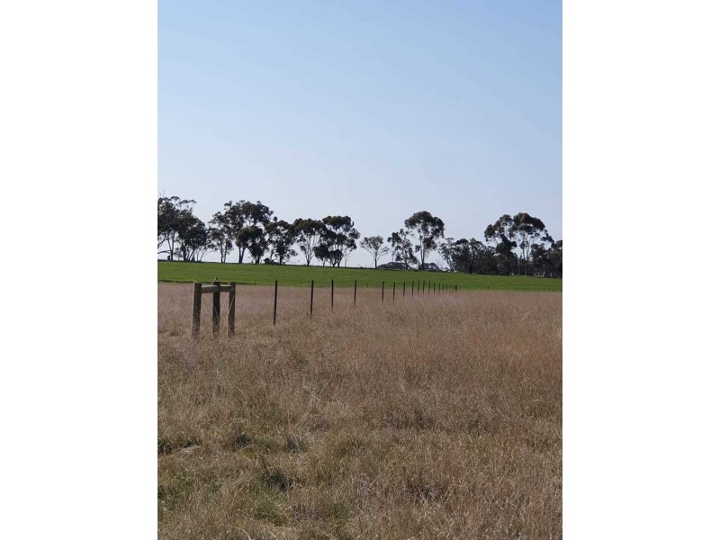 Burrows Road, Woodstock On Loddon VIC 3551