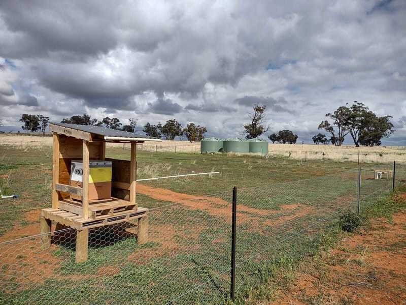 Burrows Road, Woodstock On Loddon VIC 3551