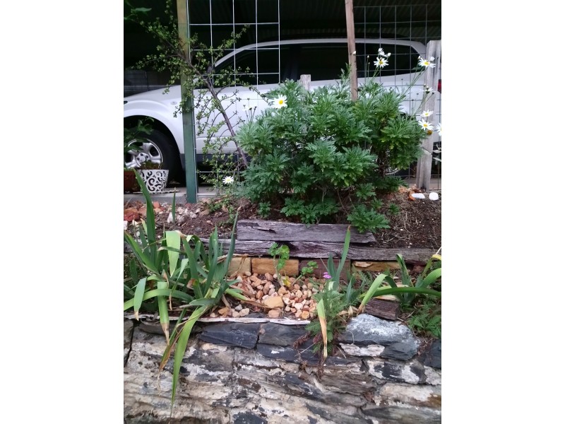 7 Thomas Street, Ironbark VIC 3550