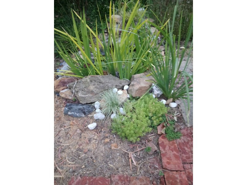 7 Thomas Street, Ironbark VIC 3550