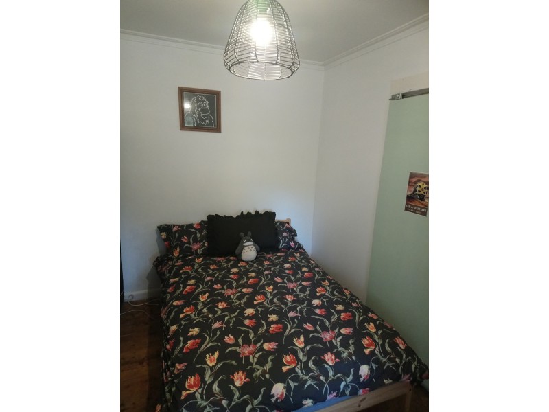 7 Thomas Street, Ironbark VIC 3550