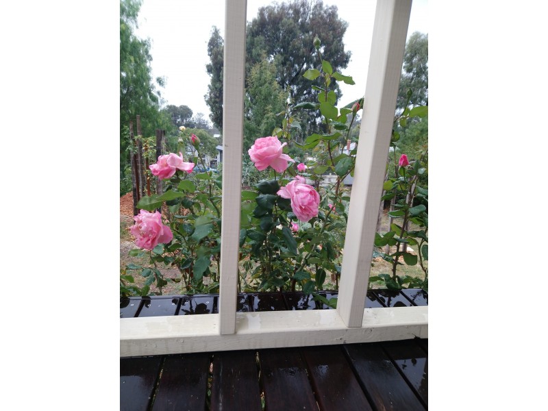 7 Thomas Street, Ironbark VIC 3550