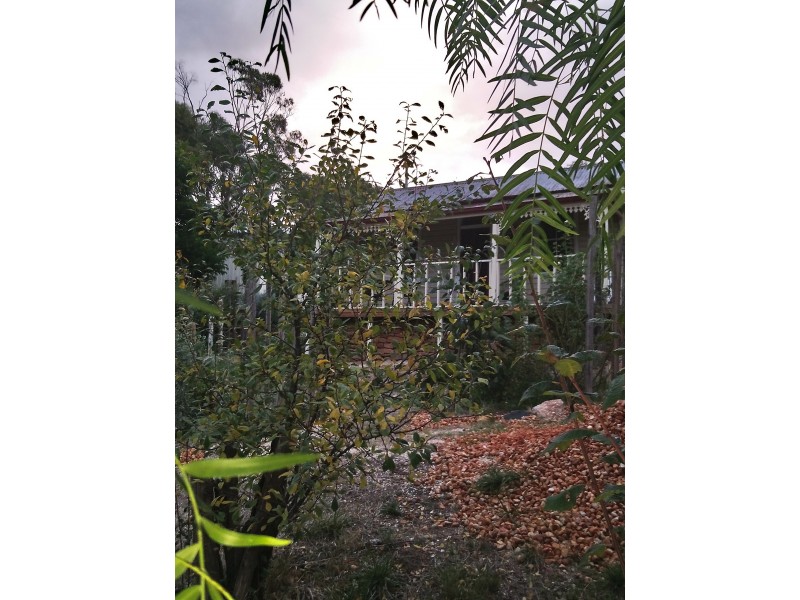 7 Thomas Street, Ironbark VIC 3550