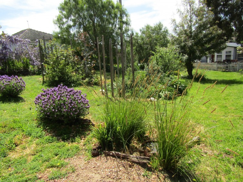 7 Thomas Street, Ironbark VIC 3550