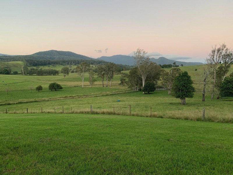 134 Killaloe Rd, Green Pigeon NSW 2474