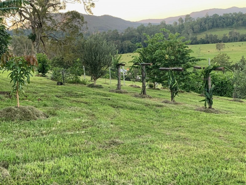 134 Killaloe Rd, Green Pigeon NSW 2474