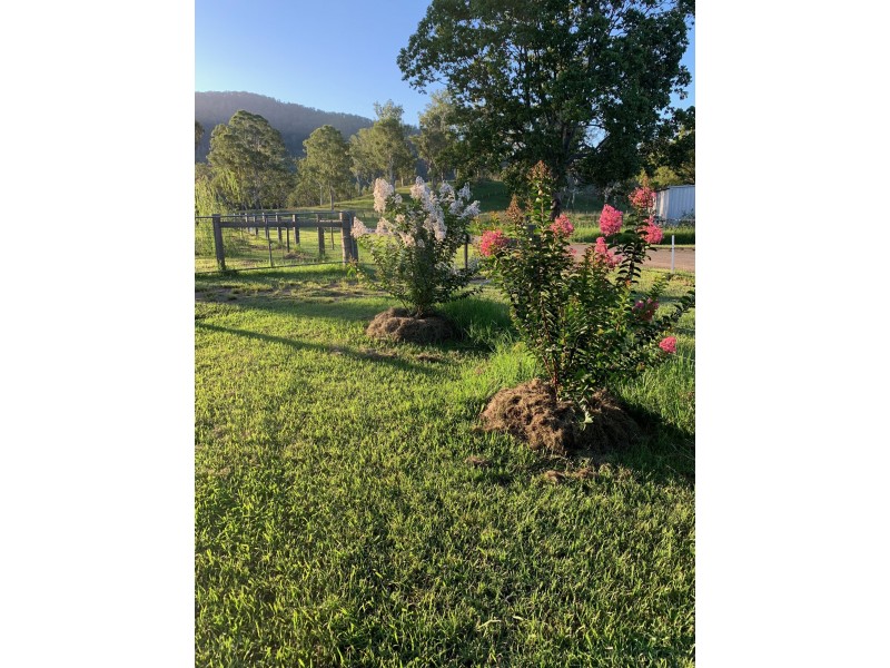 134 Killaloe Rd, Green Pigeon NSW 2474