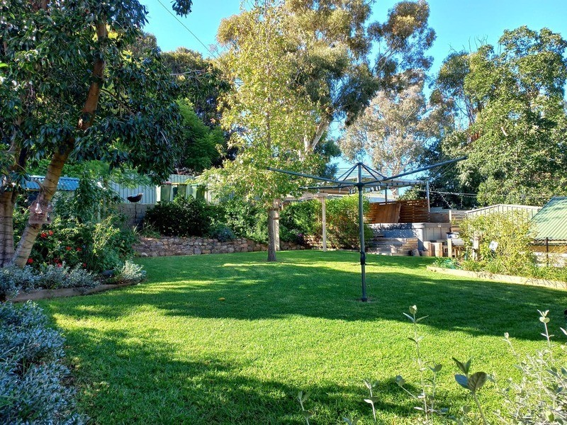 21 Currajong St, Parkes NSW 2870