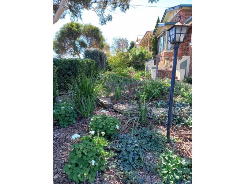 21 Currajong St, Parkes NSW 2870