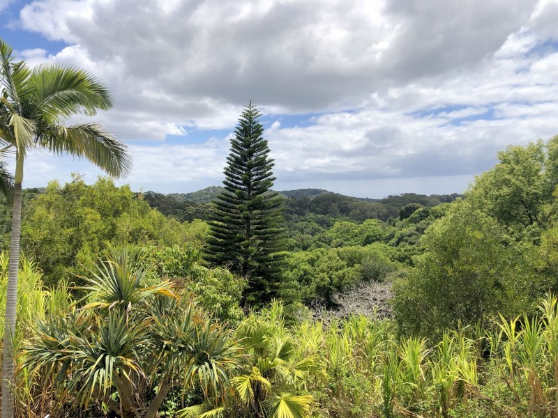Currumbin Valley QLD 4223