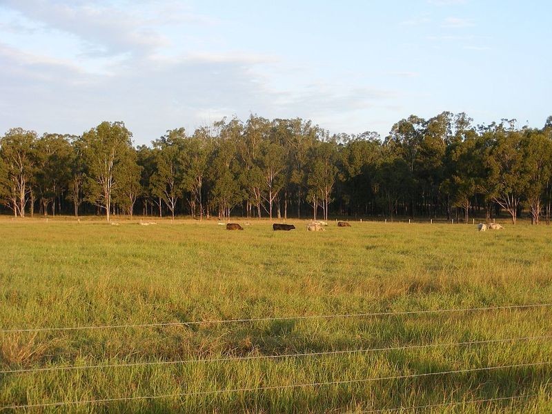 215 Kangaroo Yard Road, Wondai QLD 4606