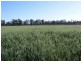 215 Kangaroo Yard Road, Wondai QLD 4606