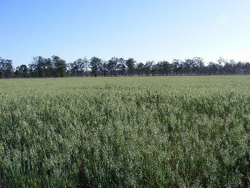 215 Kangaroo Yard Road, Wondai QLD 4606