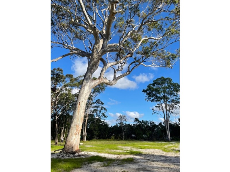 164 Eumarella Road, Weyba Downs QLD 4562